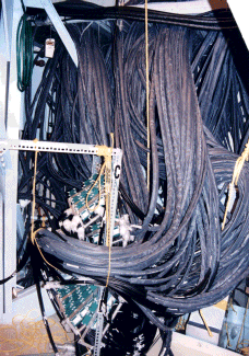 1,024 photomultiplier tube cables for 1 Penn DAQ electronics rack.