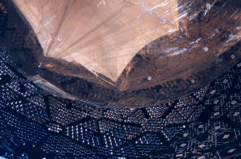 Installed photomultiplier tubes pointing at the acrylic vessel.